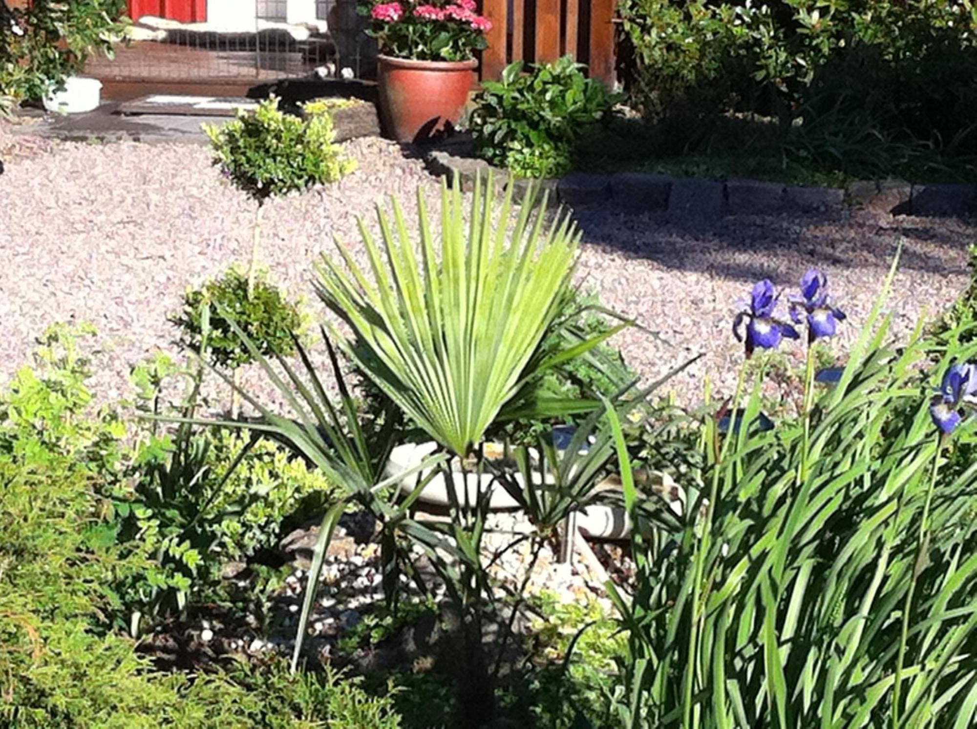 Mattisgarden Bed & Breakfast Ostra Ljungby ภายนอก รูปภาพ