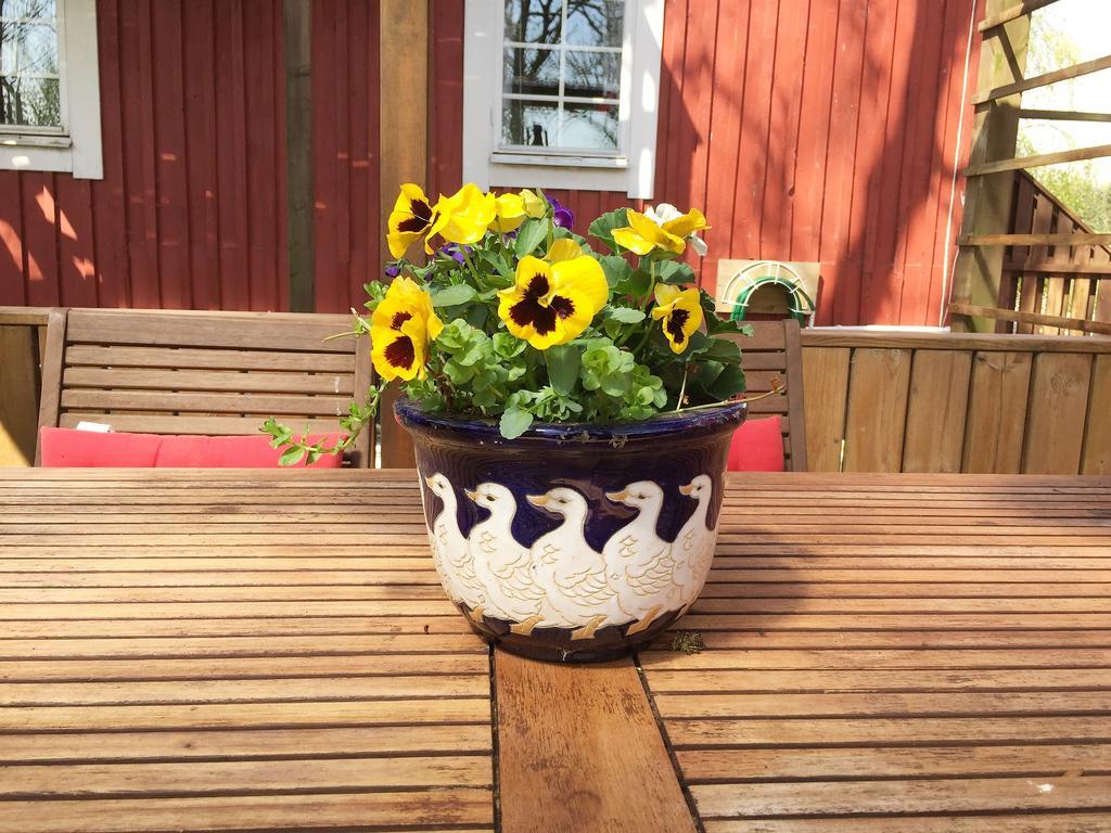 Mattisgarden Bed & Breakfast Ostra Ljungby ภายนอก รูปภาพ